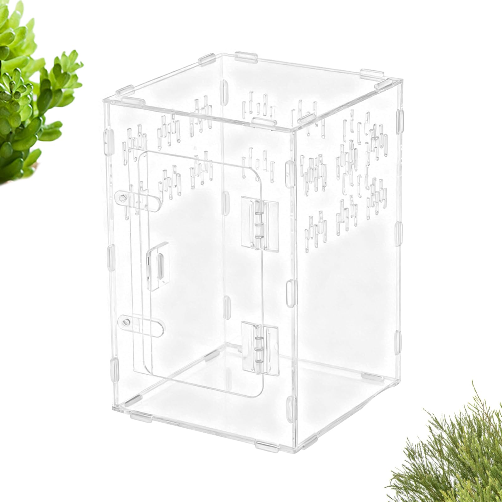 Amazon | Fruusv タランチュラケージ,アクリル 透明 ハビタット